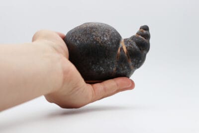 neti yoga pot